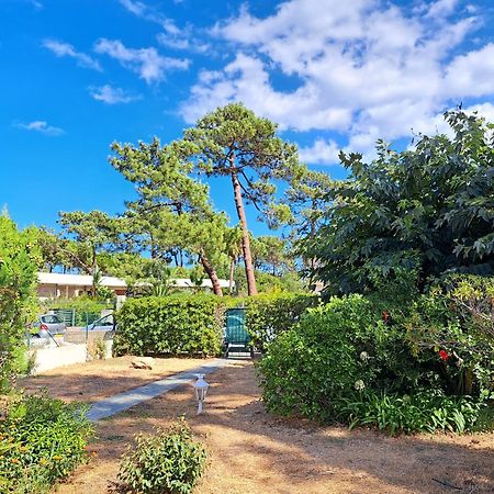 Mini Villa Jardin 50 M Plage 博尔戈 外观 照片