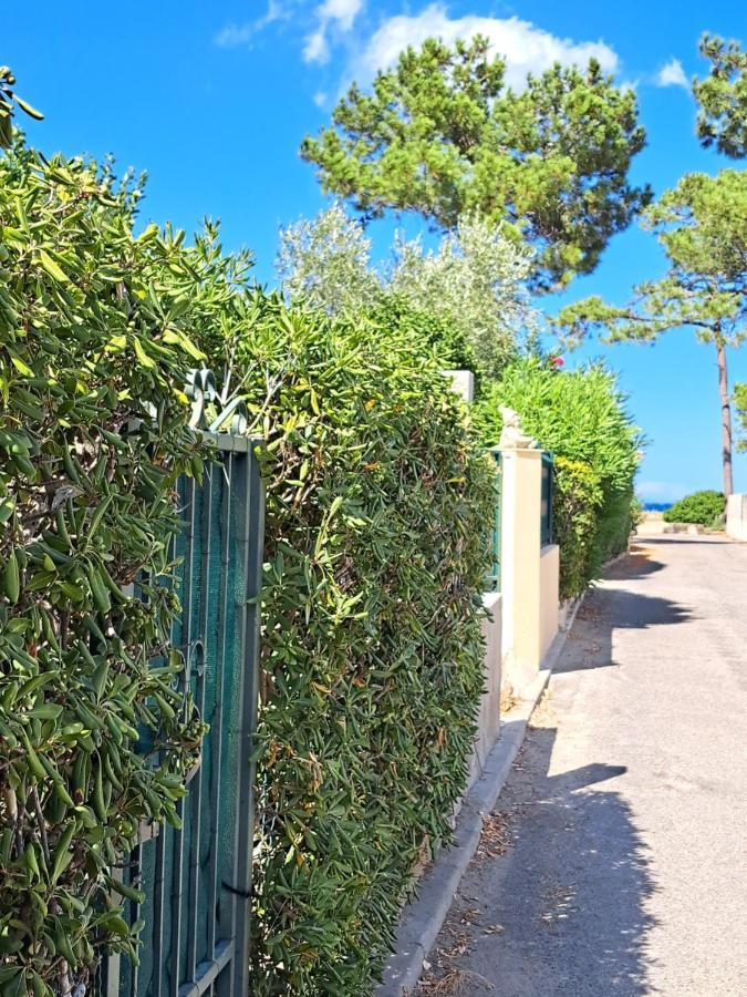 Mini Villa Jardin 50 M Plage 博尔戈 外观 照片