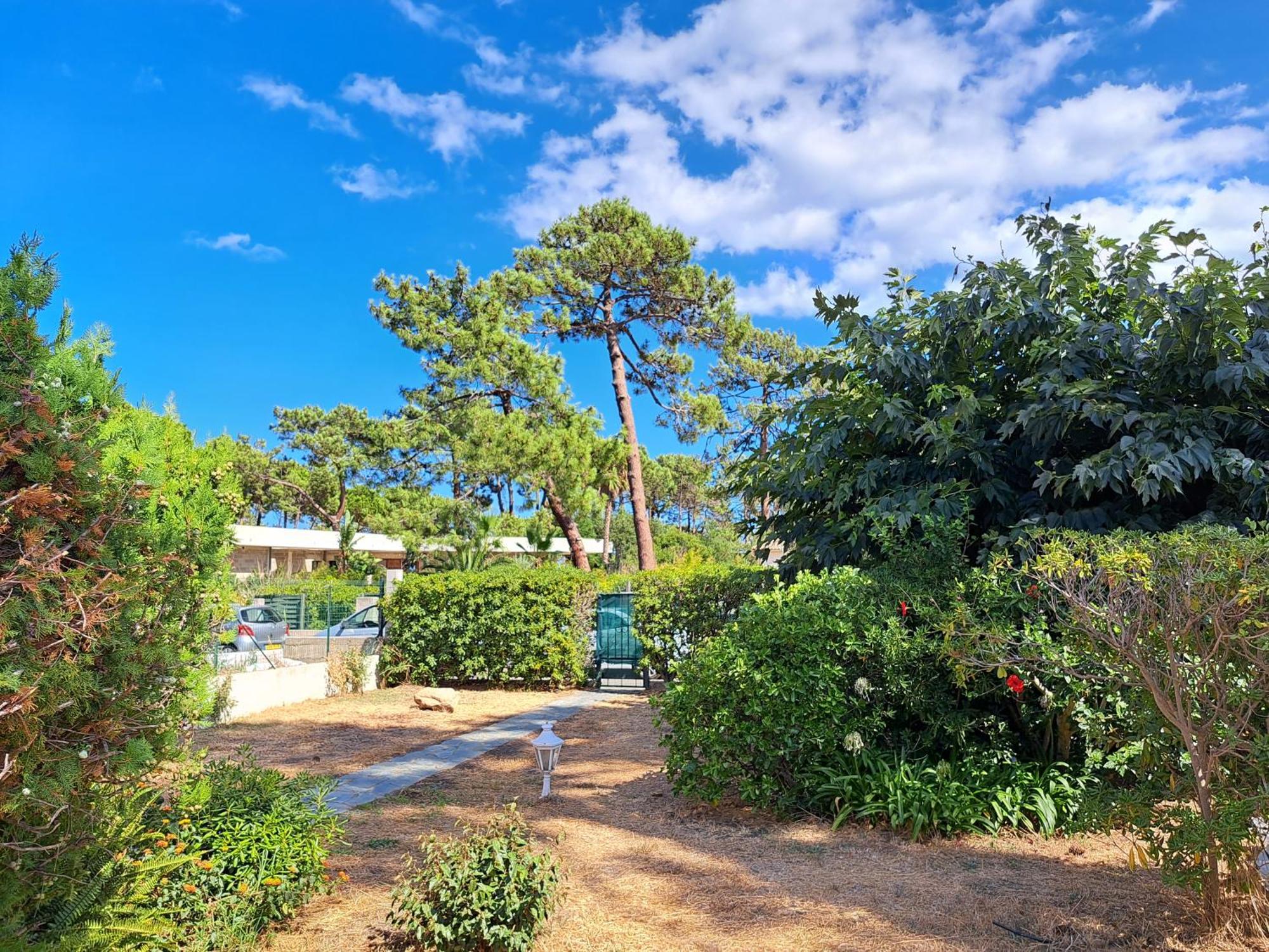 Mini Villa Jardin 50 M Plage 博尔戈 外观 照片