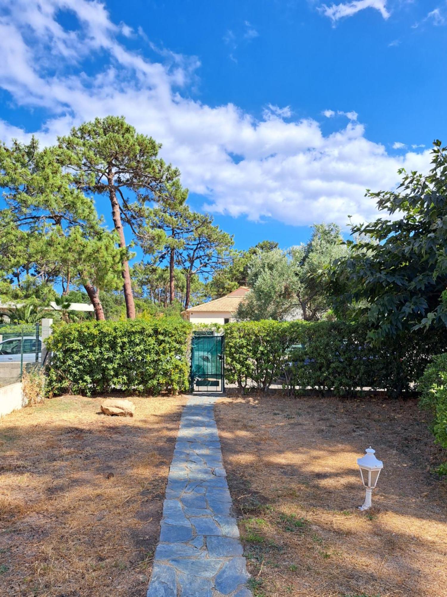 Mini Villa Jardin 50 M Plage 博尔戈 外观 照片