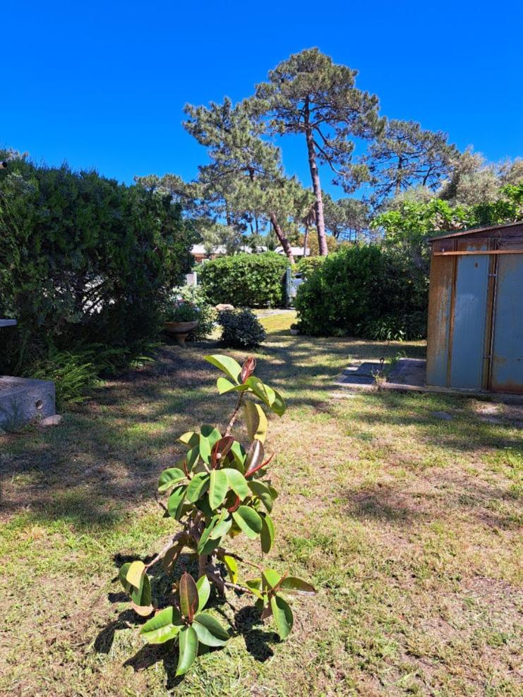 Mini Villa Jardin 50 M Plage 博尔戈 外观 照片