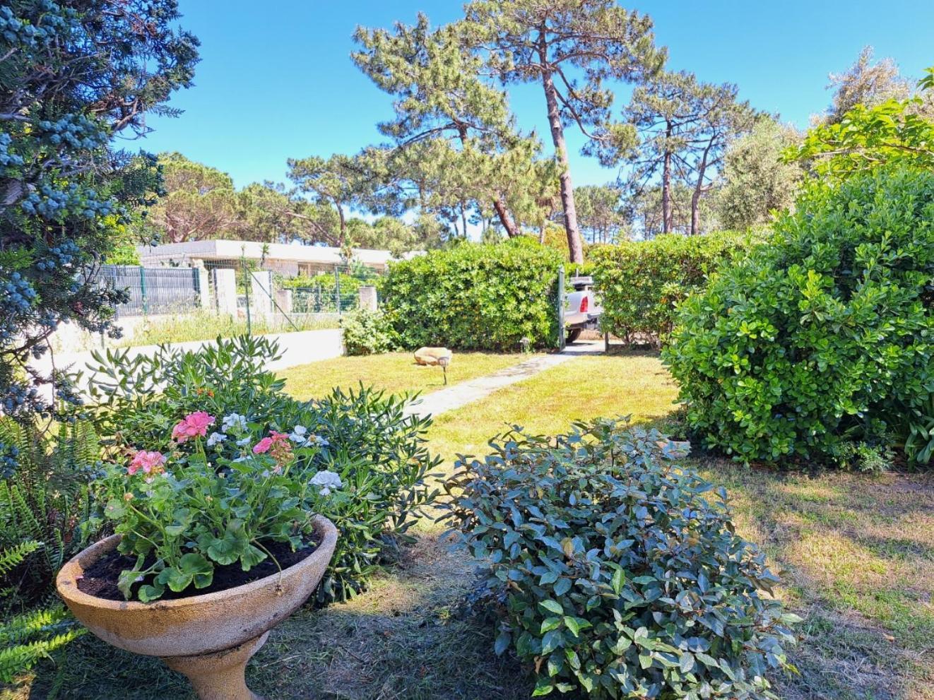 Mini Villa Jardin 50 M Plage 博尔戈 外观 照片